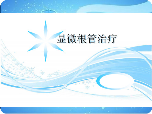 显微根管治疗.ppt