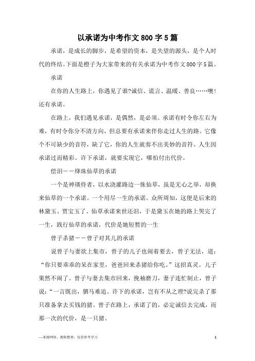 以承诺为中考作文800字5篇