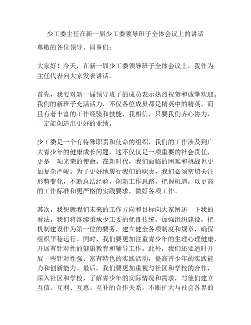 少工委主任在新一届少工委领导班子全体会议上的讲话