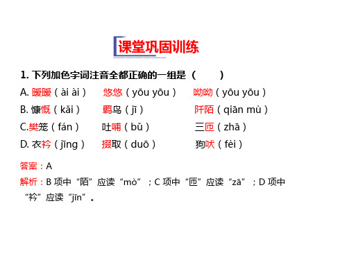 高中语文必修1教学课件：  课堂巩固训练