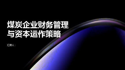 煤炭企业财务管理与资本运作策略