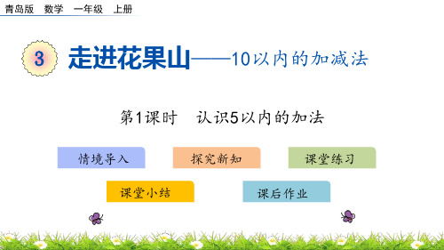 青岛版一年级上册数学《走进花果山》说课教学课件