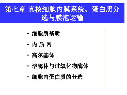 第七章+真核细胞内膜系统、蛋白质分选与...