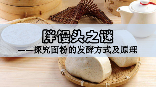 生物人教版八年级上册《胖馒头之谜——探究面粉的发酵方式及原理》