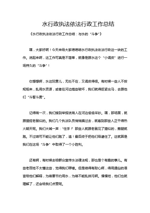 水行政执法依法行政工作总结