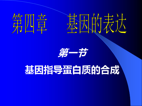 必修2人教版 第四章第一节 基因指导蛋白质的合成ppt(34张ppt)