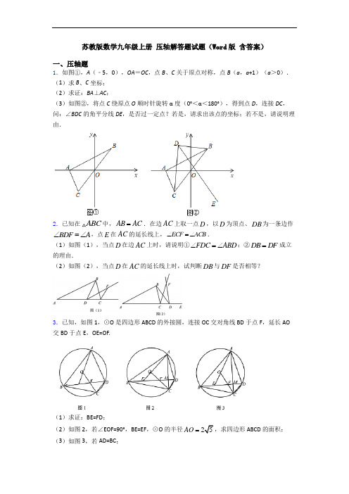 苏教版数学九年级上册 压轴解答题试题(Word版 含答案)