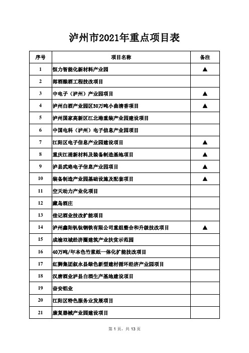 2021年泸州市重点项目