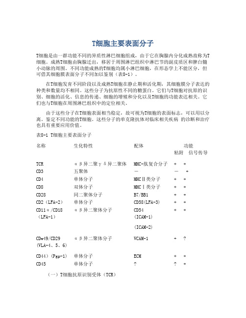 T细胞主要表面分子