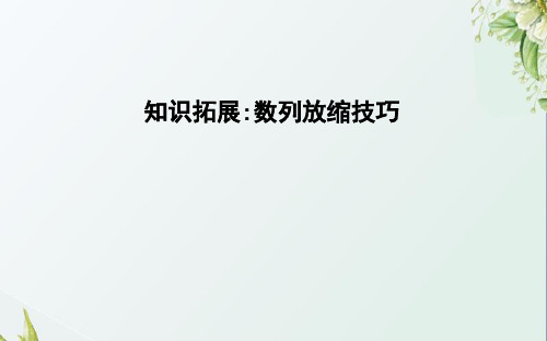 2019届高考数学二轮复习(理科)知识拓展数列放缩技巧课件(24张)(全国通用)