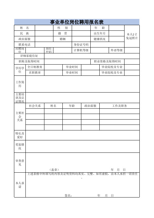 事业单位岗位申请表excel模板2