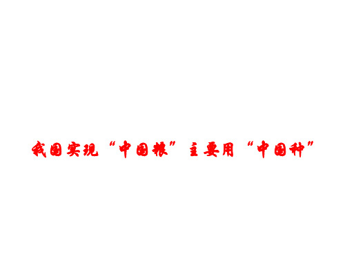 2018年高考政治时政热点课件：我国实现“中国粮”主要用“中国种” (共12张PPT)