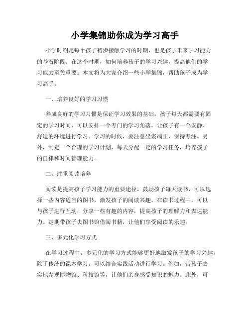 小学集锦助你成为学习高手