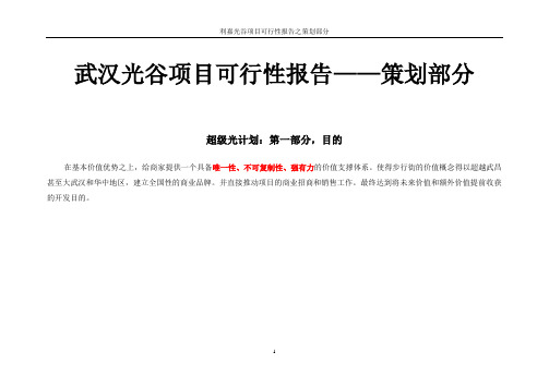 武汉光谷项目可行性报告——策划部分