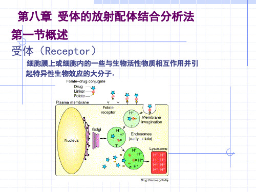 受体的放射配体结合分析法