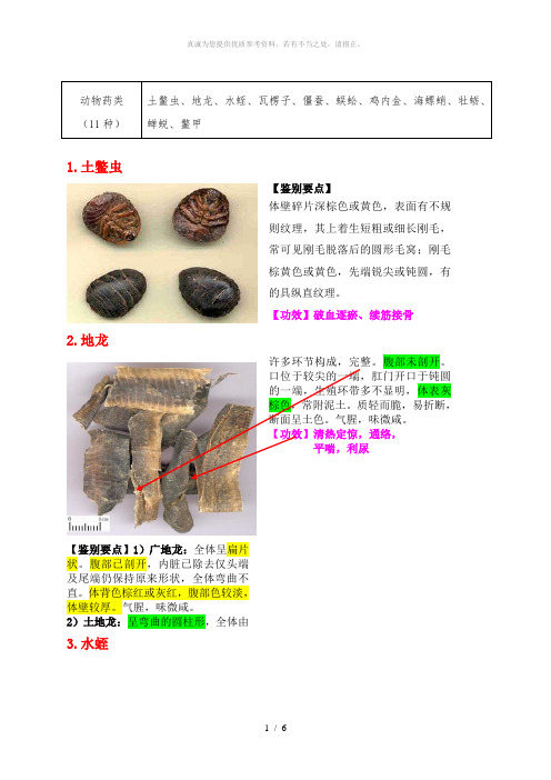 动物药类11种