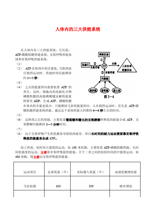 人体内的三大供能系统