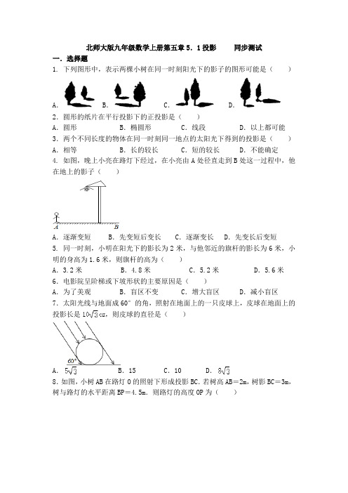 5.1投影-北师大版九年级数学上册假期同步测试