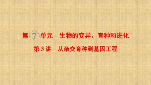 全国版高考生物一轮复习第7单元生物的变异育种和进化第3讲从杂交育种到基因工程名师课件