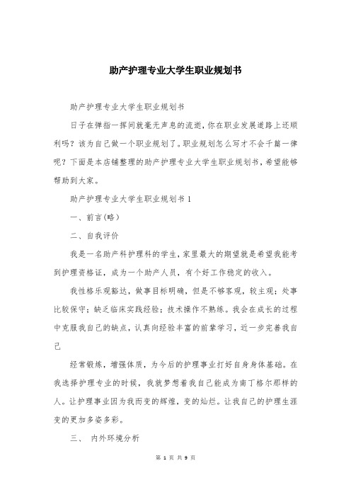 助产护理专业大学生职业规划书