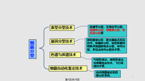 细菌的分型及其检测技术PPT课件