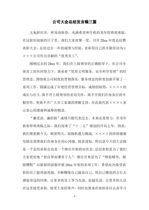 公司大会总结发言稿三篇