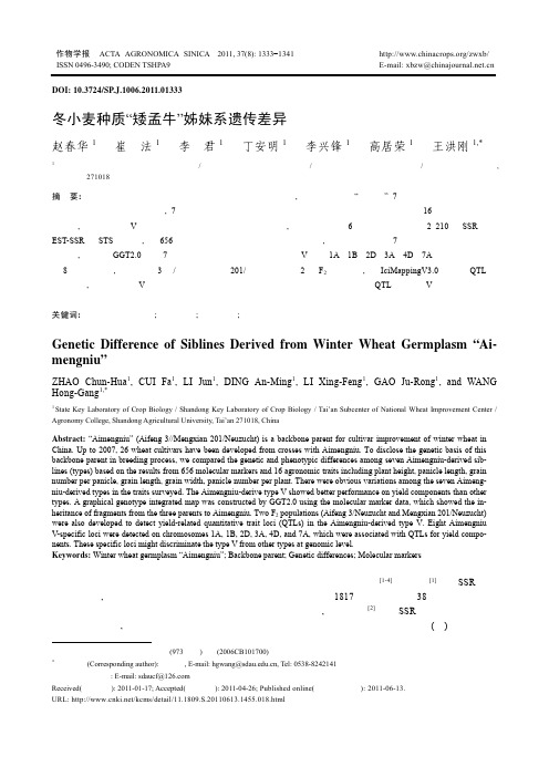 冬小麦种质“矮孟牛”姊妹系遗传差异