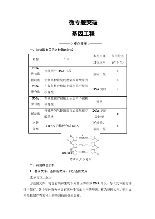 2018版高中生物(人教版)选修3同步教师用书：专题1 微专题突破 基因工程