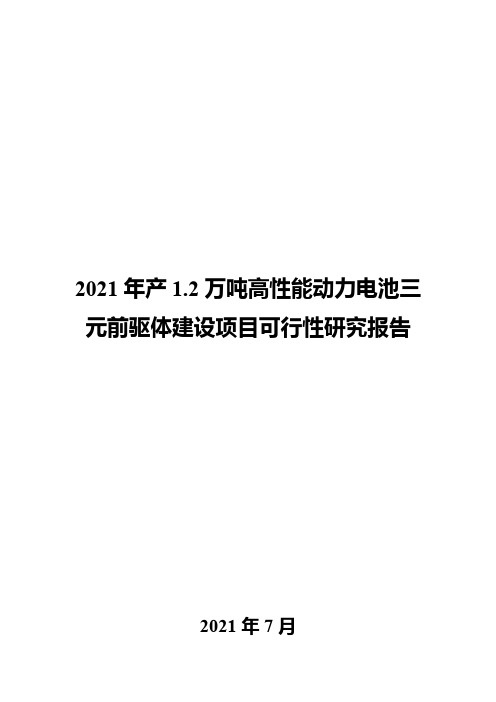 2021年产1.2万吨高性能动力电池三元前驱体建设项目可行性研究报告