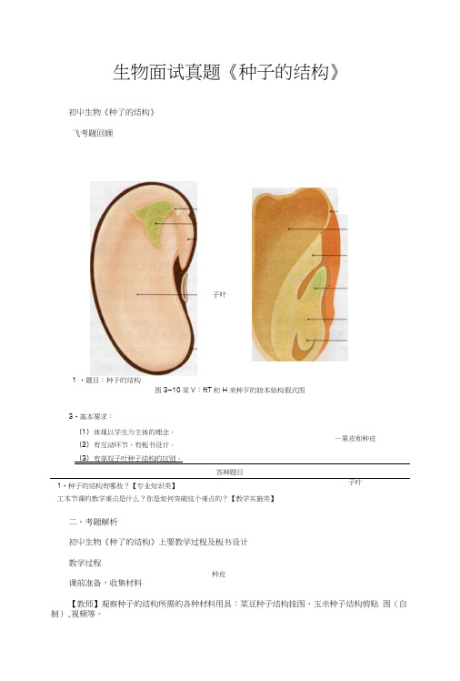 生物面试真题《种子的结构》.doc