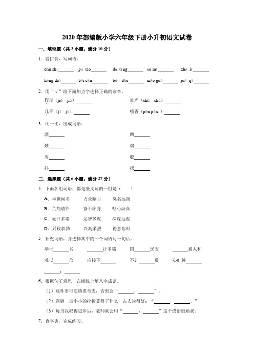 六年级下语文试卷小升初语文试卷(解析版)人教统编版1