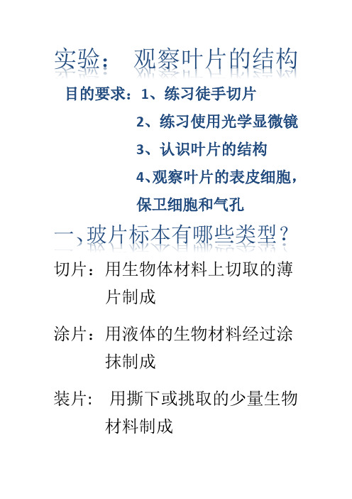 生物人教版七年级上册实验：观察叶片的结构