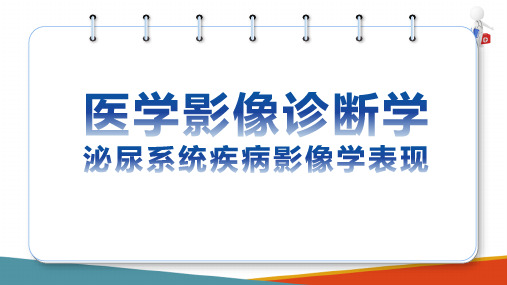 泌尿生殖系统影像诊断 常见病影像学表现 泌尿生殖系统泌尿系统