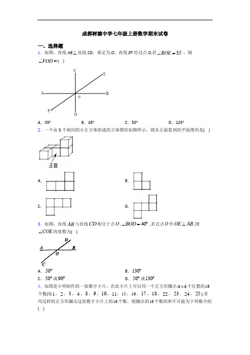 成都树德中学七年级上册数学期末试卷