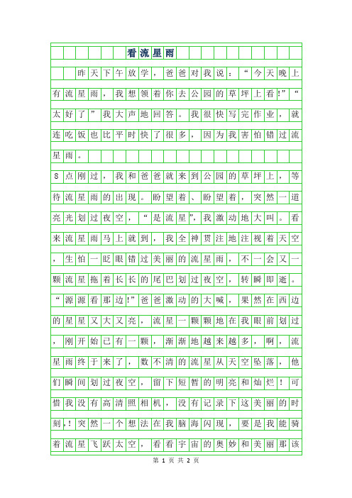 2019年看流星雨作文500字