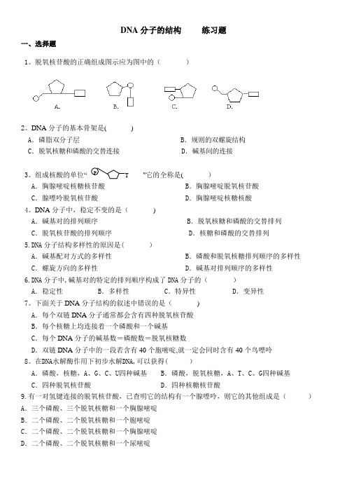 DNA分子结构练习题