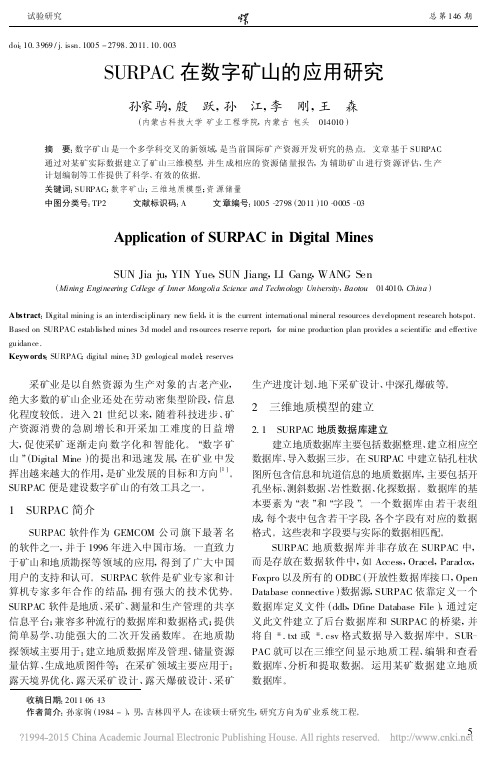 SURPAC在数字矿山的应用研究_孙家驹