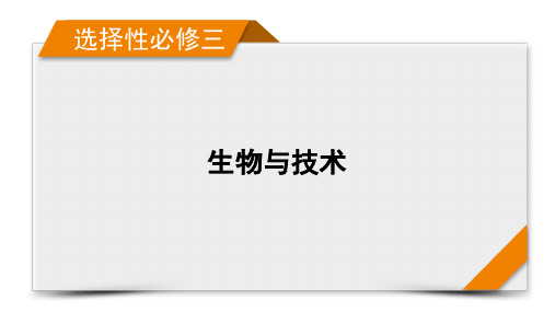 选择性必修3 第10单元 微专题 DNA的粗提取与鉴定、DNA片段的扩增及电泳鉴定