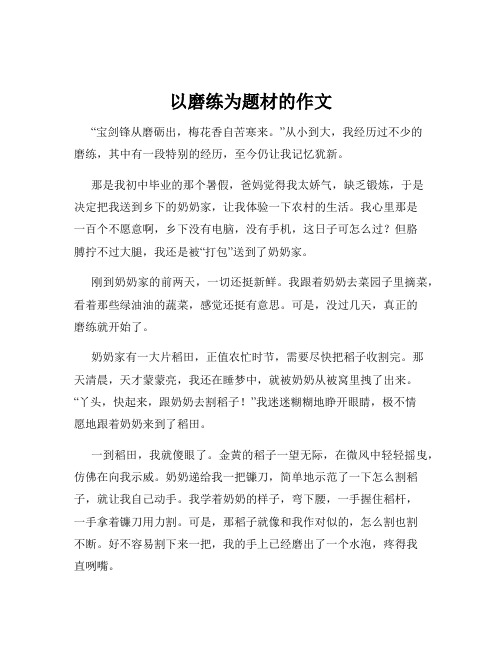 以磨练为题材的作文