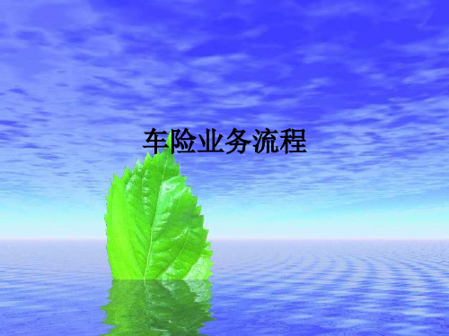 车险业务流程