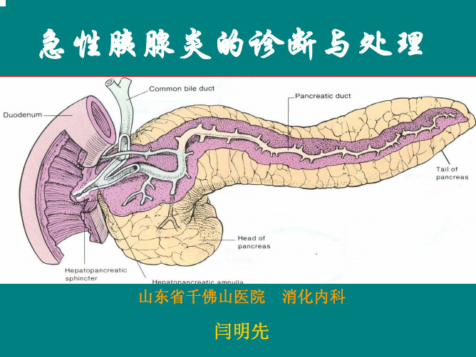 急性胰腺炎的诊断与处理