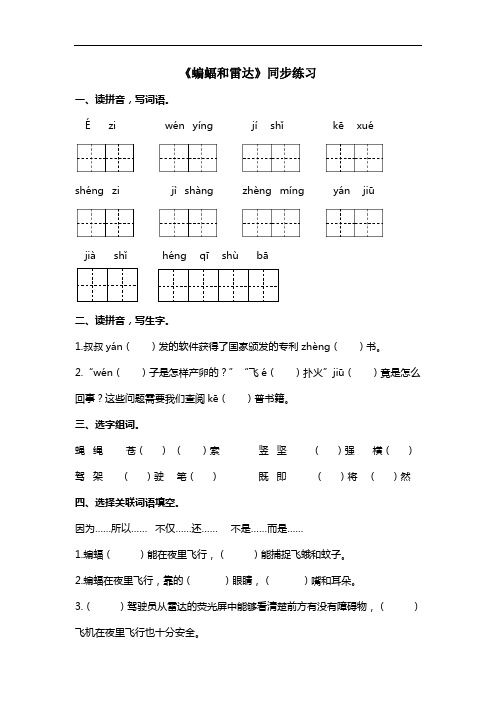 部编版四年级语文上册《蝙蝠和雷达》同步练习及答案(含课内外阅读))