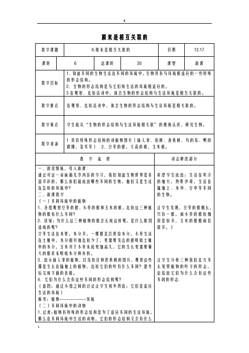 六年级科学上册 4_6《原来是相关联的》教案 (新版)教科版ok