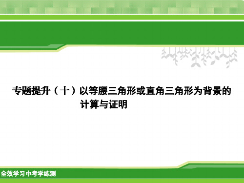 专题提升(十) 以等腰三角形或直角三角形为背景的计算与证明