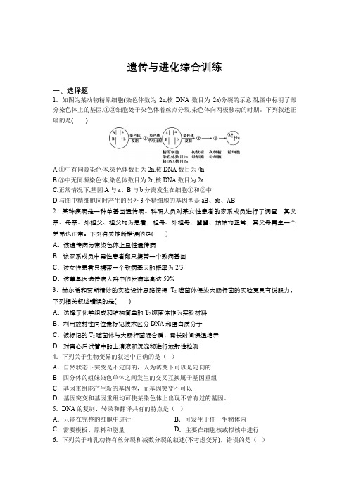 2021届高三生物一轮复习知识点增分训练：遗传与进化综合训练 