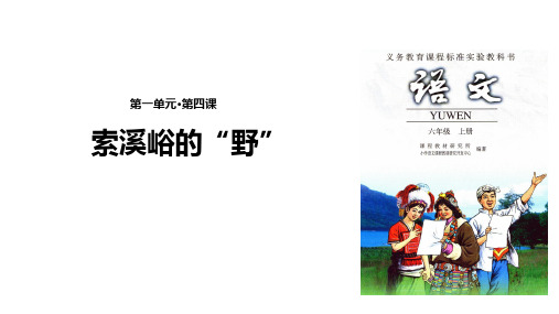 (赛课课件)人教版六年级上册语文《索溪峪的“野”》(共16张PPT)