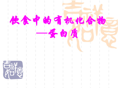 公开课 蛋白质精品PPT课件