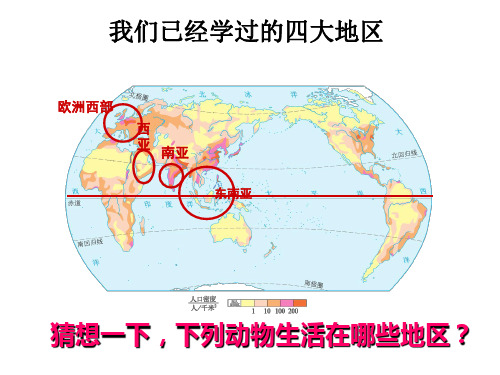 北极地区和南极地区PPT