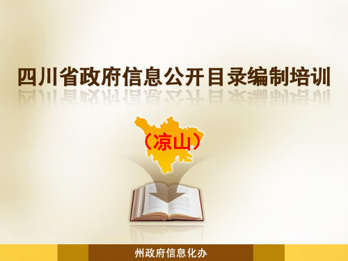 四川省政府信息公开目录编制培训(凉山)ppt精品文档