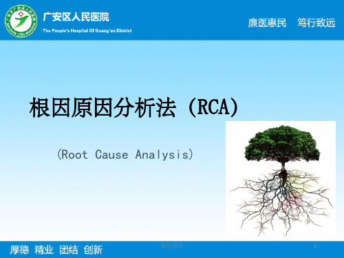 根因原因分析法(RCA)王银燕ppt课件